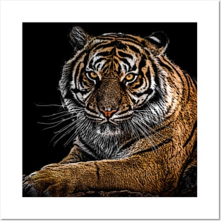 Tiger art Posters and Art